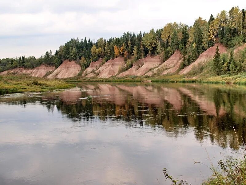 Петушки река Мста. Березовские Петушки Мста. Река Мста обнажение Петушки. Река мста новгородская область