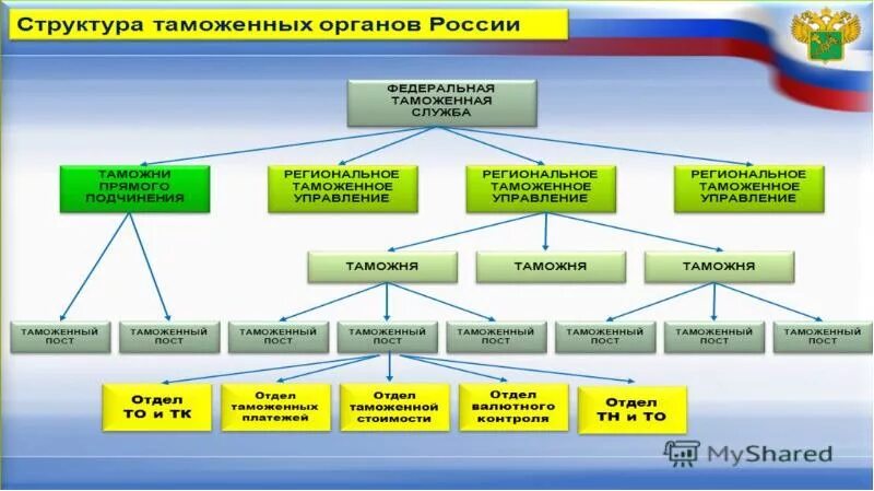 Учреждения таможенных органов. Федеральная таможенная служба России структура. Структура таможенных органов ФТС России. Организационная структура ФТС РФ. Федеральная таможенная служба структура схема.