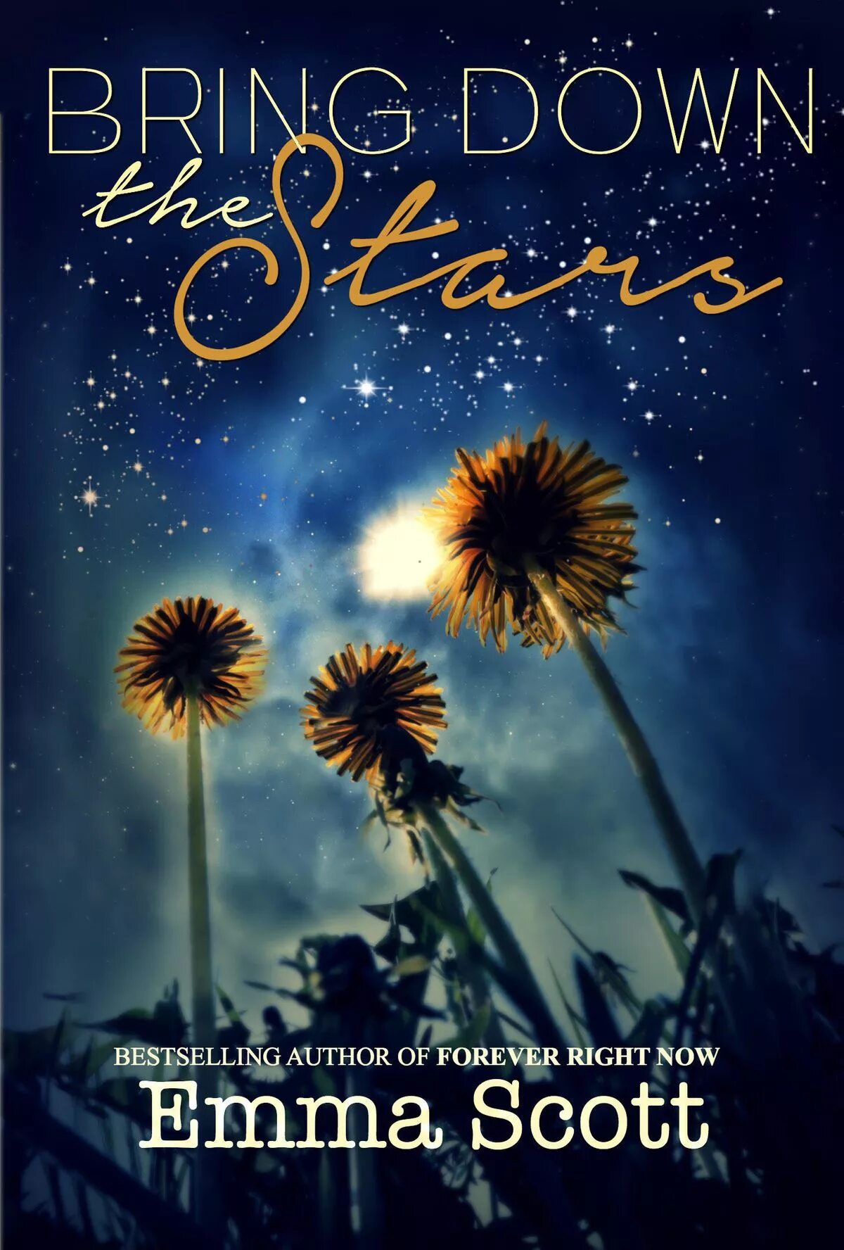 The stars is beautiful. Книги Эммы Скотт на английском. Bring down the Stars Emma Scott.