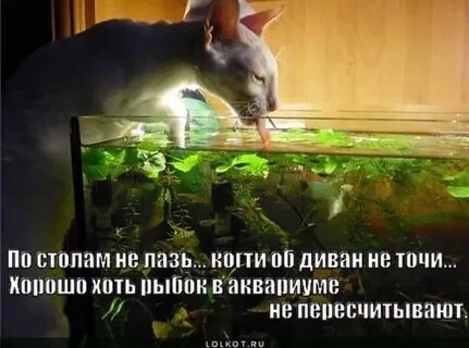Хорошо хоть