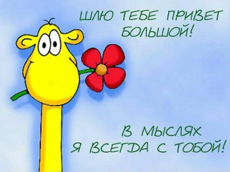 приветствие картинки прикольные. желаю счастья целое лукошко. с днем рождения. открытки с приветствиями. открытки с большим приветом.