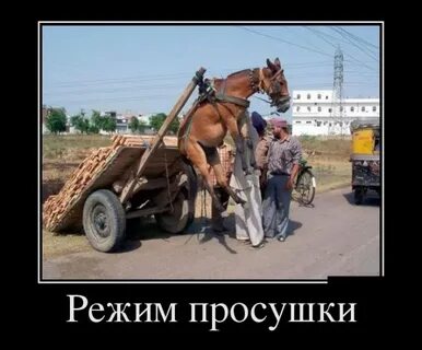 Хороший конь должен стоять под навесом