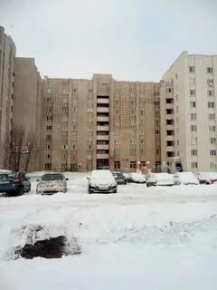 Челны 31