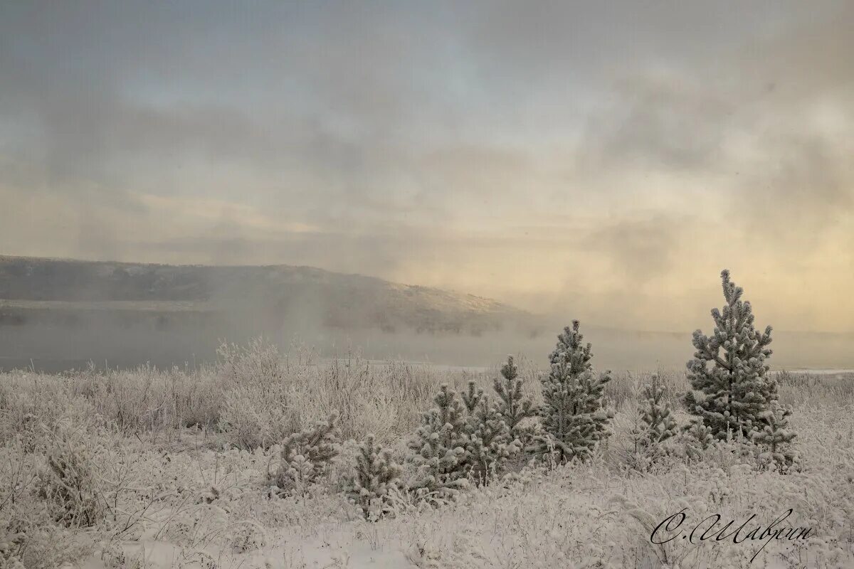 запуржило стихи. мария кодряну отзовись белым снегом занесло. зима прекрасная пора. замело завьюжило замело. сосновский парк спб зима.