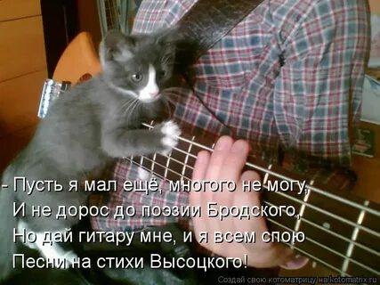 Давай гитару давай песня