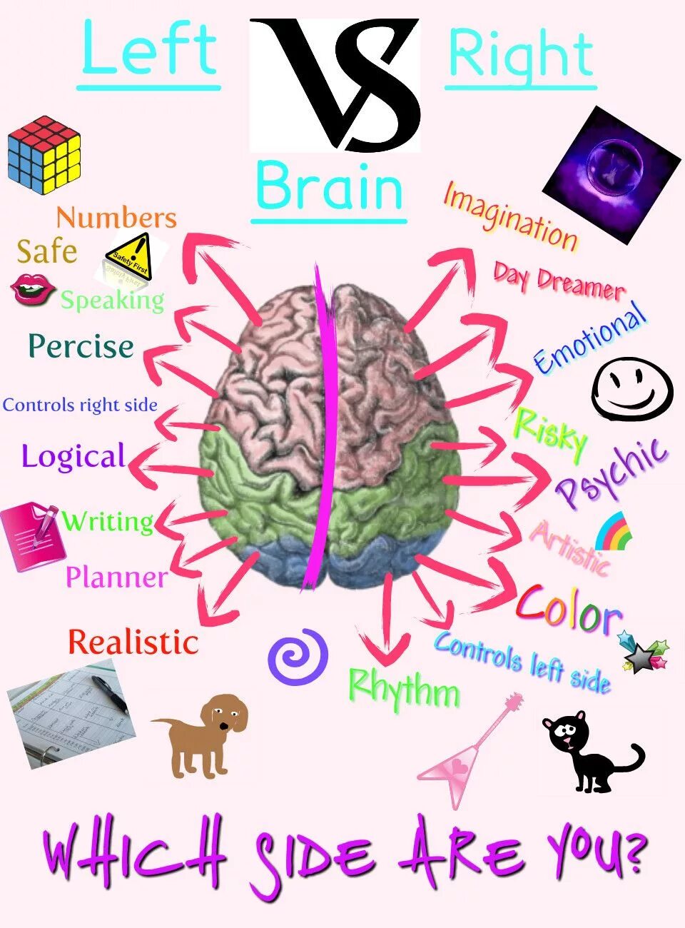 Left Brain. Right Brain. Right Side Brain. Left Brain versus right Brain. Brain vs brain