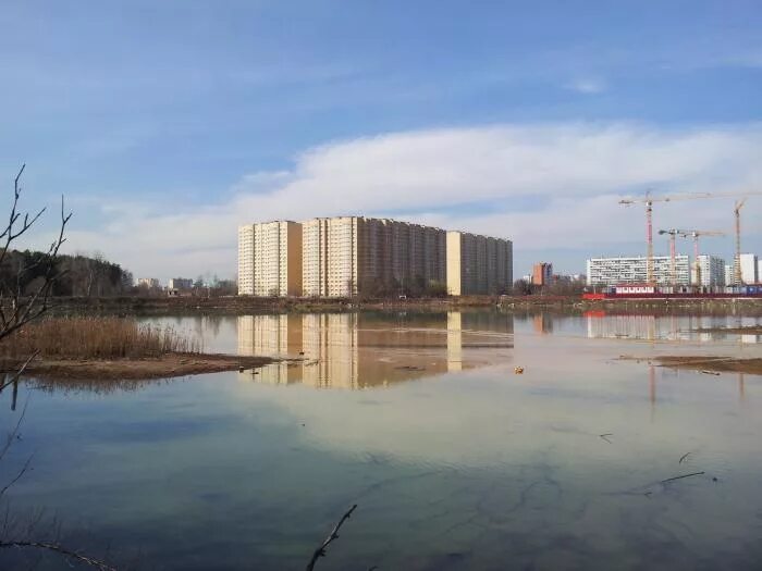 Самаровское озеро королев. Парад планет жк озеро самаровское. Озеро в королёве. Самаровское озеро московская область. Самаровское озеро фото королев.