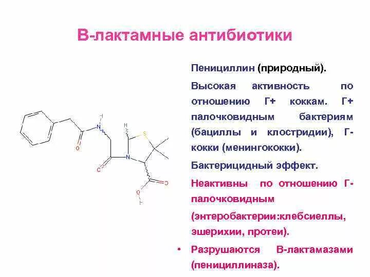 Пенициллины действуют. Классификация бета лактамных антибиотиков. Спектр активности бета лактамных антибиотиков. Природные и полусинтетические пенициллины. Механизм действия пенициллина на бактерии.