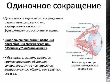 Сокращение мышц это