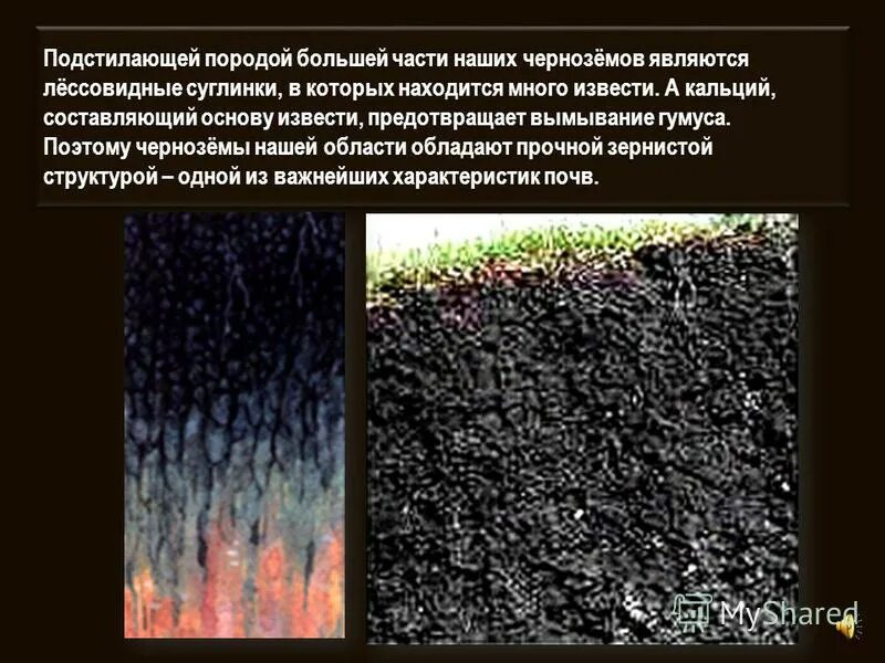 Важнейшим свойством почвы является наличие. Материнская порода почвы. Строение почвы. Вымывание гумуса. Вымывание почвы почвы.
