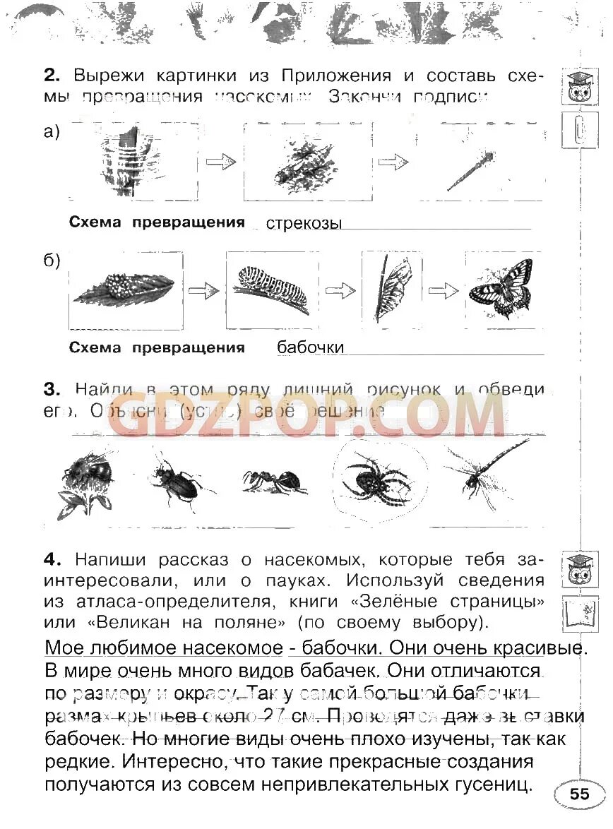 Вырежи рисунки из приложения и составь
