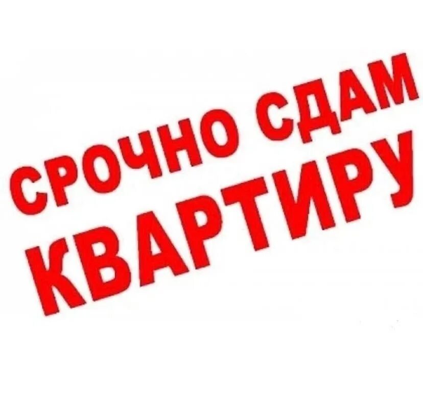 Срочно куплю от собственника. Сдается квартира картинка. Сдам квартиру надпись. Сдам. Сдаётсяквартира картинка.