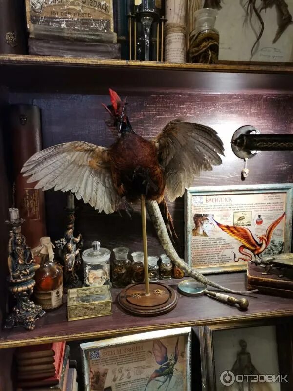 Криптозоологический музей «бестиарий». Музей бестиарий в санкт-петербурге. Криптозоологический музей «бестиарий». Криптозоологический музей «бестиарий». Музей бестиарий гранд.