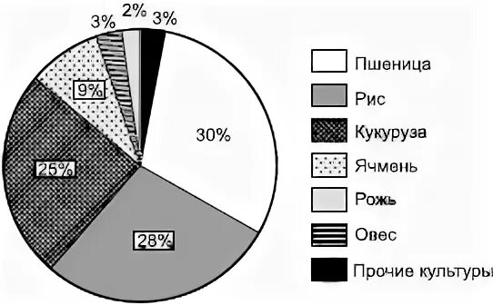 Проанализируй диаграмму основные зерновые культуры