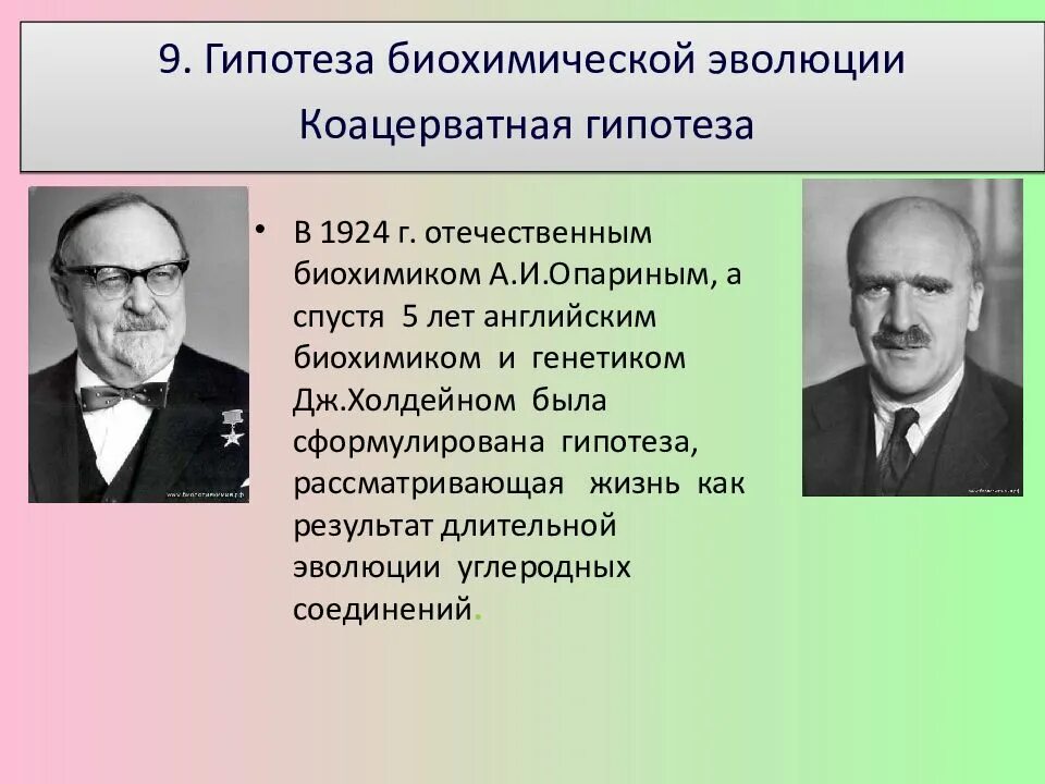 Холдейн гипотеза биохимической эволюции. Биохимическая гипотеза Опарина. Теория биохимической эволюции сторонники. Биохимическая Эволюция приверженцы.