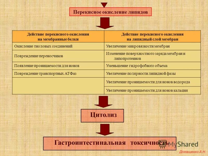 Перекисное окисление липидов мембраны. Перекисное окисление липидов мембраны. Механизм перекисного окисления липидов в мембране клеток. Схема перекисного окисления липидов биохимия. Схема реакций перекисного окисления липидов.