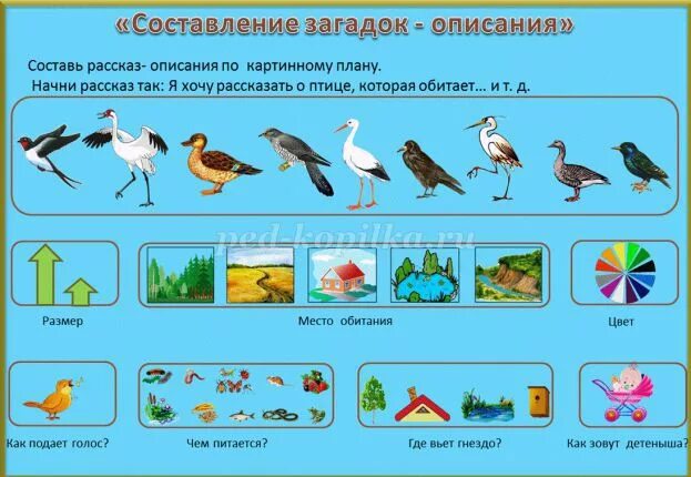 Перелетные птицы для детей подготовительной группы. Задание перелетные птицы старшая группа. перелетные птицы для дошкольников подготовительной группы. перелётные птицы для дошкольников 5-6 лет. развивающие задания перелётные птицы для дошкольников.
