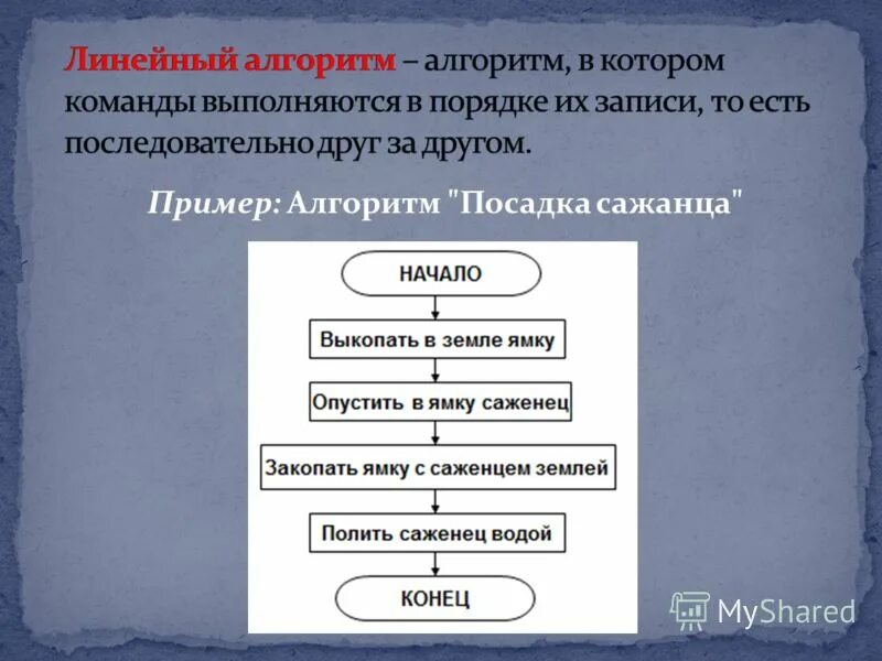 Урок алгоритмы 6 класс. Линейный алгоритм примеры. Пример линейного алгорит а. Линейный алгоритм это в информатике. Составить линейный алгоритм.