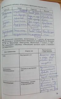 Биология 8 класс учебник параграф 7