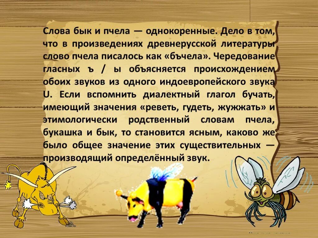 Как произошло слово почему. Бык и пчела однокоренные. Этимология слова бык и пчела. Бык и пчела однокоренные слова. Пчела и бык этимология.