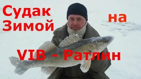 Ловля судака на волге на ратлин