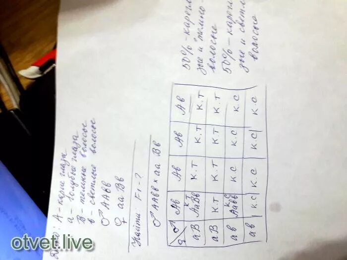 Кареглазый мужчина женился на голубоглазой. Голубоглазый мужчина родители которого имели карие глаза женился. В семье родился голубоглазый темноволосый. Голубоглазый брюнет женился на кареглазой блондинке какие. Голубоглазый брюнет женился на кареглазой блондинке.