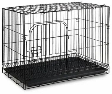 Клетка предложение