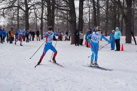 Спорт в каменском