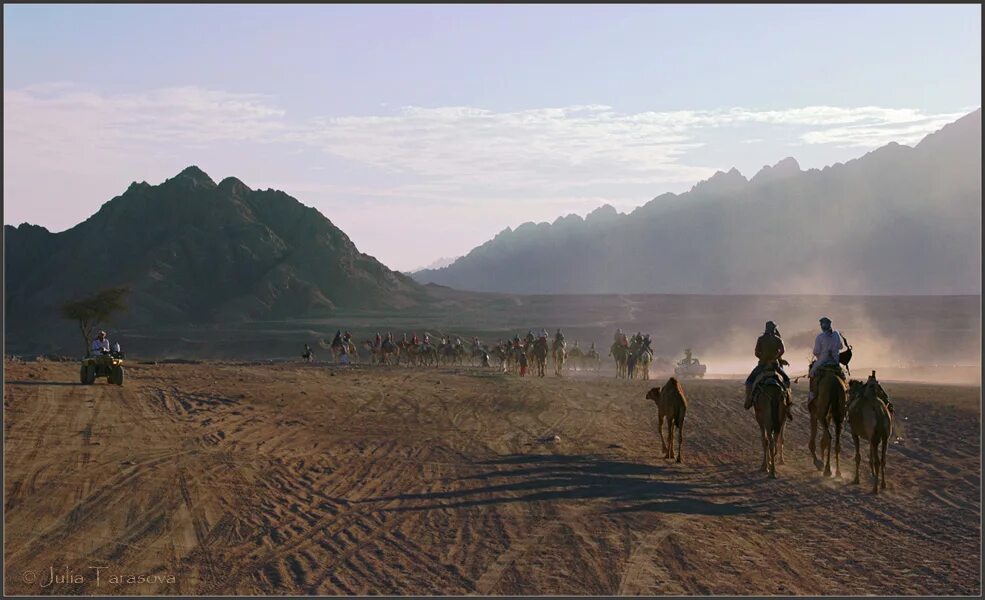 А. Степь пустыня. Пустыня всадников. Пустыня всадников. Рыцарь пустыни халид ибн аль.