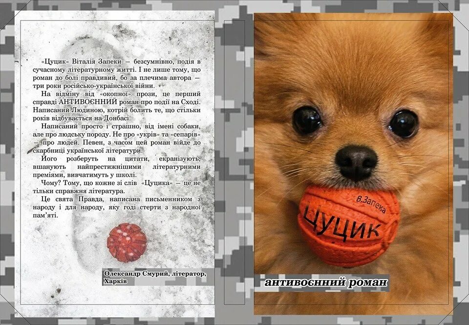 Як цуцик. Цуцик щенок. Цуцик щенок. Як цуцик. Цуцик фото.