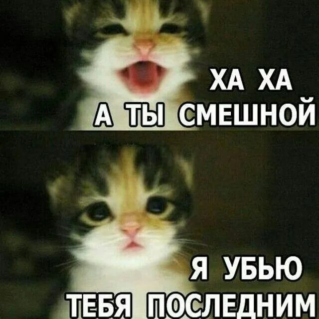 Очень смешно мем. Убью ха ха ха. А ха ха ха смешно. Ха ха ха мем. Стикер ха ха ха.