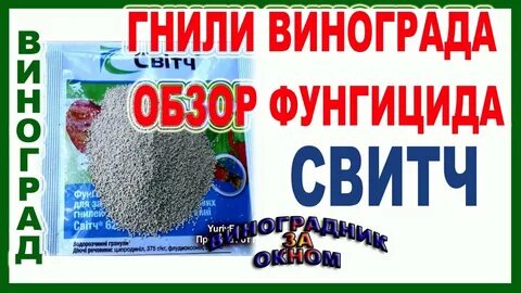 От гнили