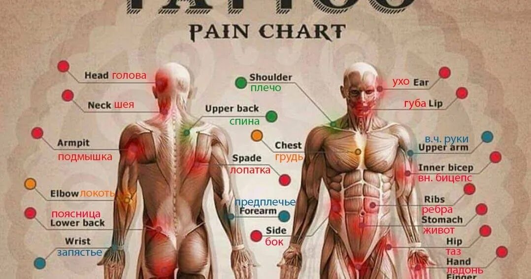 Больно ли тату. Карта боли татуировок. Болевые места татуировок. Точки боли тату. Карта болти татуировок.