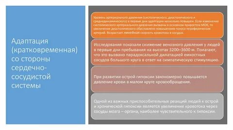 Индекс основанный на адаптации сердечно сосудистой