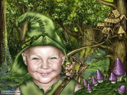 Gnomes and fairies marco cutini