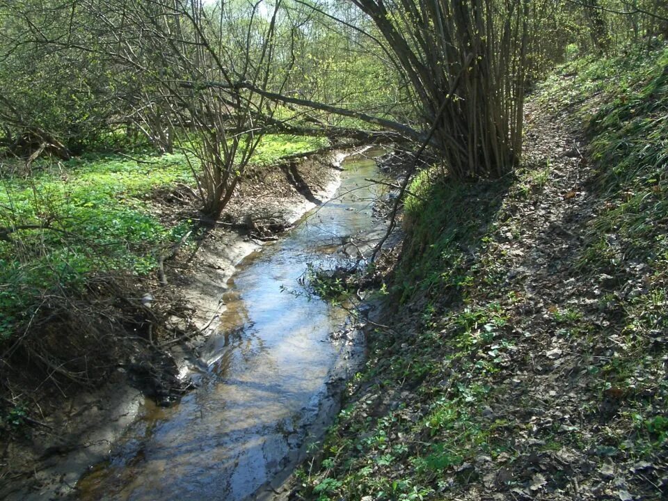 Погода верхняя водянка волгоградской. Битцевский лесопарк реки. Авария в старополтавском районе. Старая николаевка волгоградская область. Кафе верхний баскунчак.