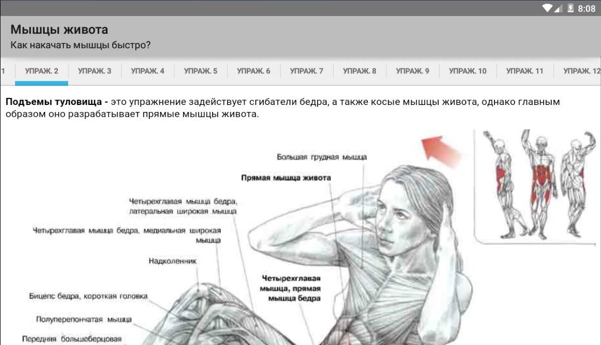 Как быстро накачать мышцы