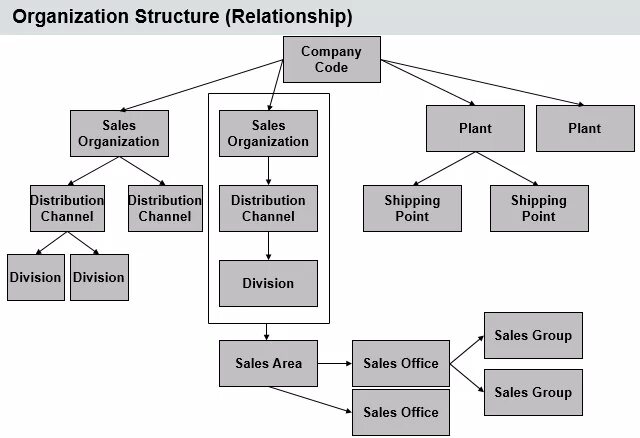 SAP организационная структура. Структура предприятия SAP. Оргструктуры SAP SD. Структура компании разработчика.