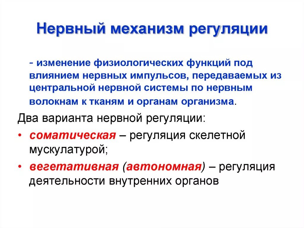 Нервные действия. Каков универсальный механизм нервной регуляции?. Нервная регуляция механизм регуляции. Нервный механизм регуляции физиология. Механизм действия нервной регуляции.