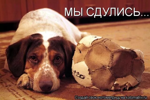 сдулся. картинка сдулся. сдулся. че сказал. сдулся.