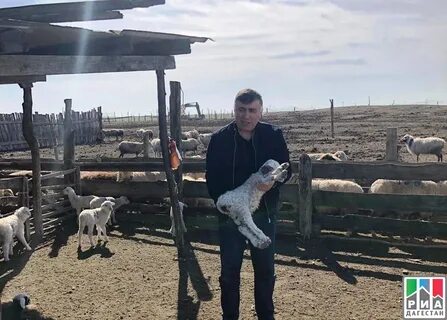 Кфх дагестан