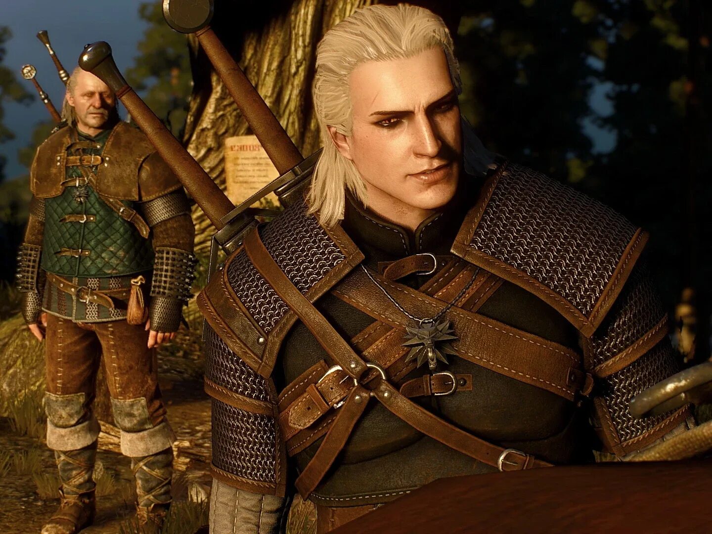 Геральт из ривии ведьмак 3. Весемир король редании. Геральд ведьмак сериал. Ведьмак 3 геральт анфас. Ведьмак 3: дикая охота.