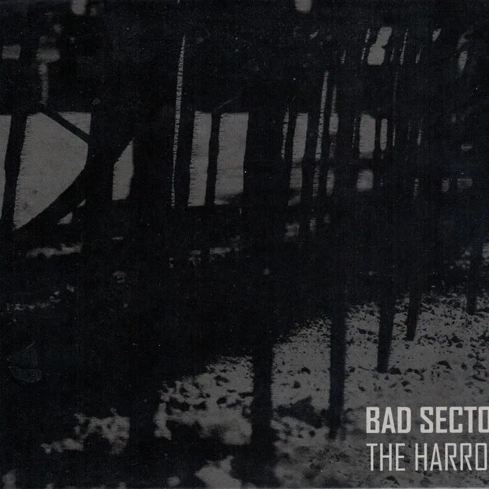 Bad sector