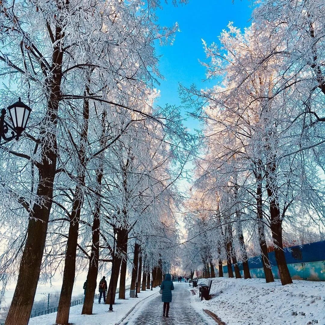 Зима в 2010 году какая была. Зимний пейзаж парк. погода зимой. погода зима. ясная зимняя погода.