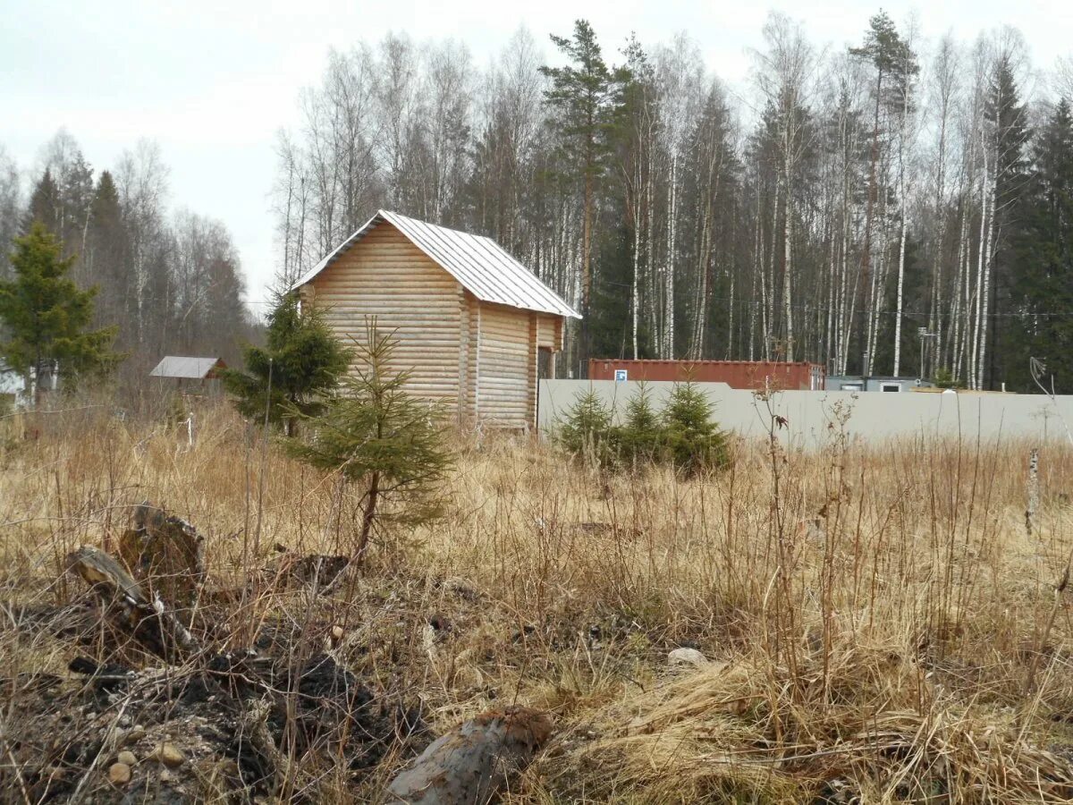 Погода зеленой роще выборгский район ленинградской области. Поселок зеленая роща Ленинградской области. СНТ Дормост Выборгский район Ленинградской области. Садоводство зеленая роща. Дача Дормост.