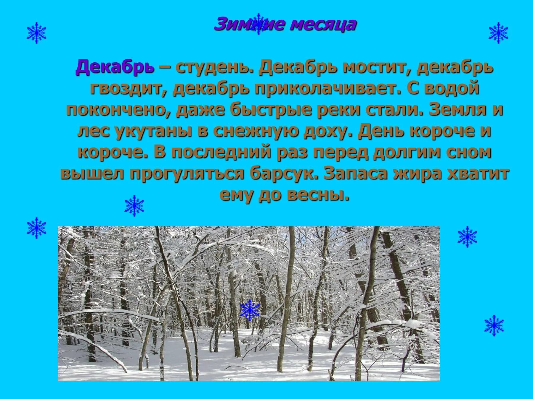 Февраль короткий день. Красивое описание зимы. Месяцы зимы для дошкольников. Презентация на тему зима. Презентация зимние месяцы.