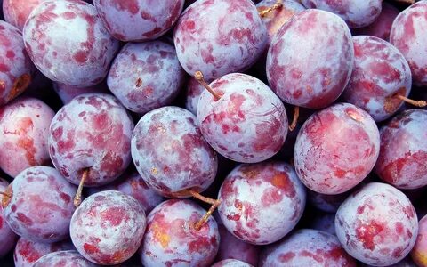 Plum