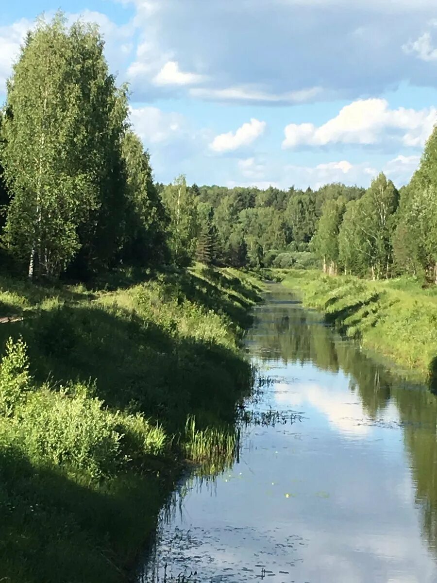 Река уводь. Уводь Иваново. Красотка Иваново река Уводь. Животные реки Уводь Иваново.