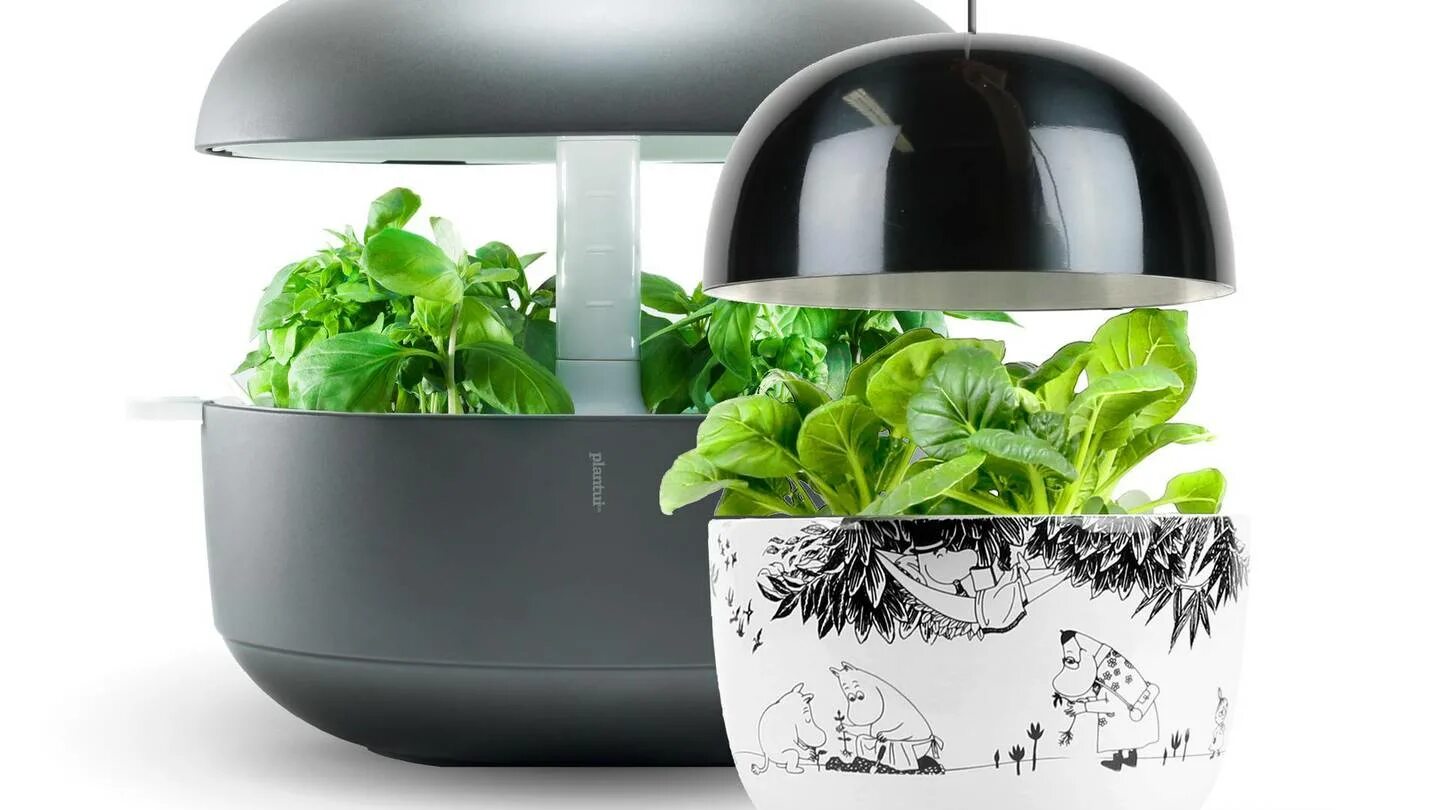 Smart plant. Смарт Плант. Экосмарт инкубатор для растений. Эко смарт для растений. Llanwern - Smart Plant.