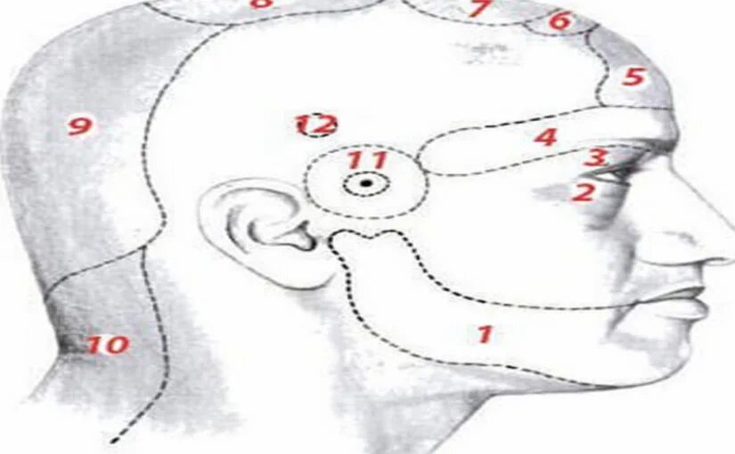 Болит одна сторона головы при прикосновении. Болит голова участки. Боль в затылке. Головная боль в затылке. Болит левая затылочная часть головы.